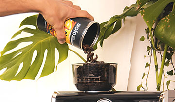 Qu'est-ce qu'un café monorigine ?