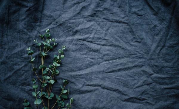 Come rimuovere le pieghe con la stiratura a vapore