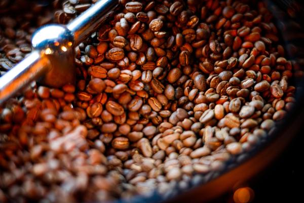 ¿Cómo elegir el mejor café en grano y disfrutar cada taza, sea cual sea tu cafetera?