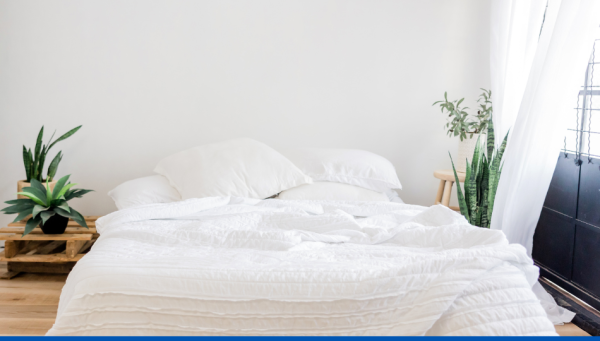 Quelles méthodes efficaces pour combattre les punaises de lit ?