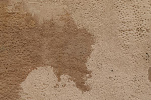 Cómo quitar el olor a humedad de casa: trucos infalibles habitación por habitación