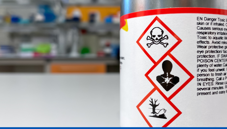 Réduction des risques chimiques grâce à l'utilisation de la vapeur sèche pour la gestion des punaises de lit