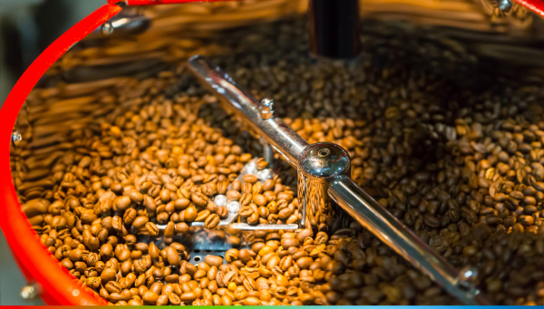 Torréfaction : Ce qu’il faut savoir