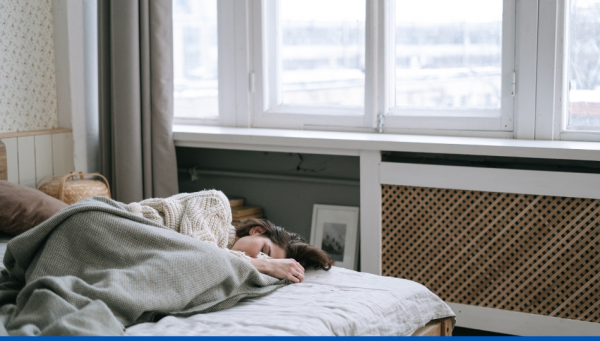 Évolution des punaises de lit et vapeur naturelle