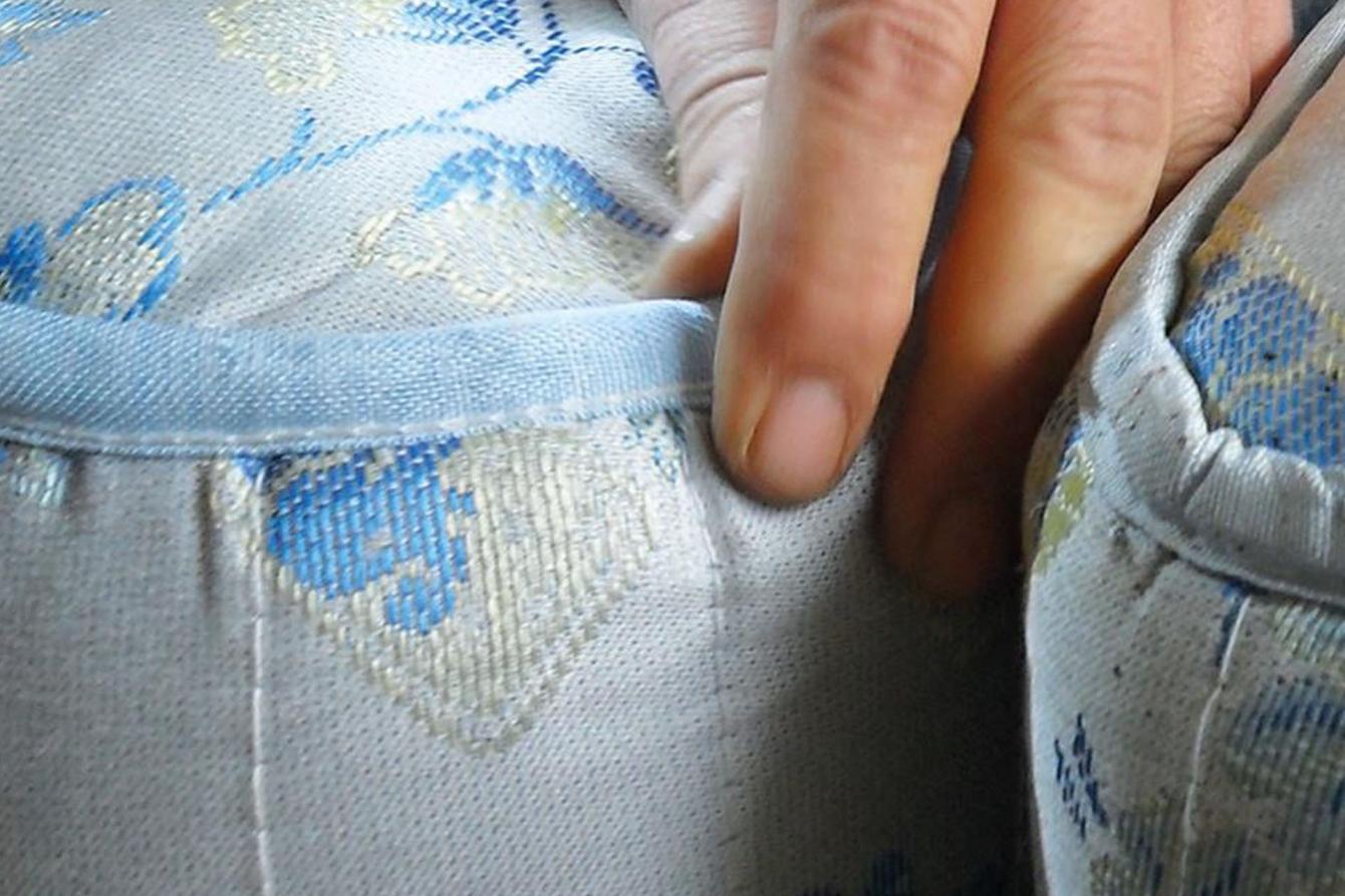 Chinches de cama. ¿Qué son, y como evitarlas?