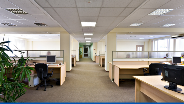 Formation et sensibilisation au nettoyage vapeur, à la désinfestation et à la désinfection en milieu professionnel