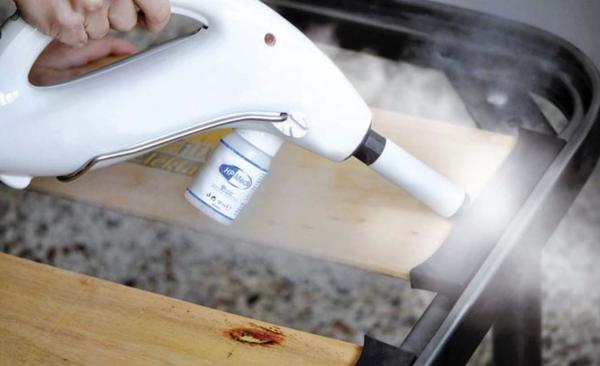 Cimici dei letti: come affrontarle e prevenire una possibile infestazione