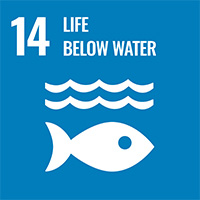 Obiettivo 14 agenda 2030: la vita sotto acqua