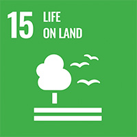 Obiettivo 15 agenda 2030: la vita sulla terra
