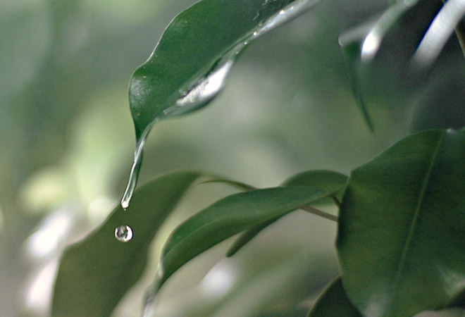I valori di Polti: acqua e calore