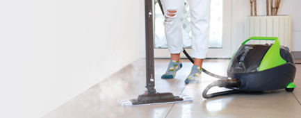 Polti Limpiadores a vapor trineo